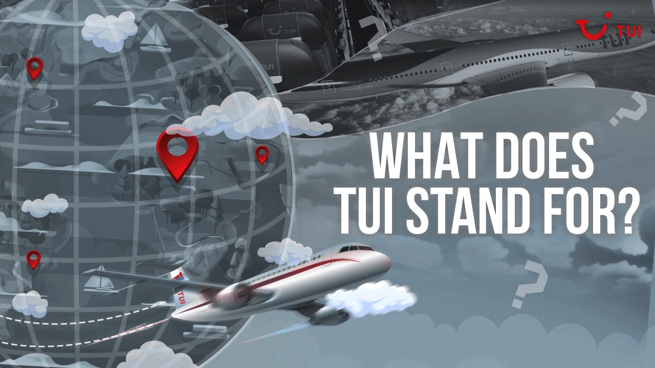What Does TUI Stand For
