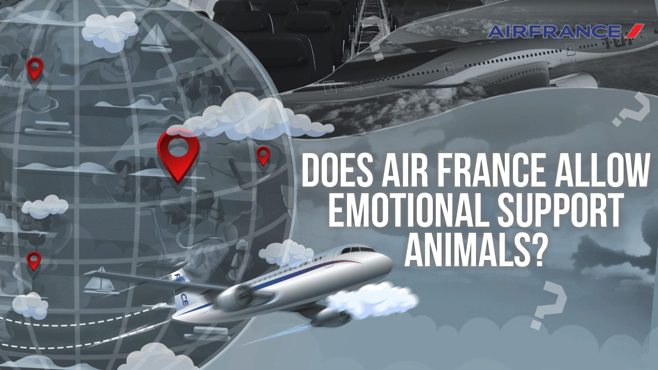 Does Air France Allow Emotional Support Animals