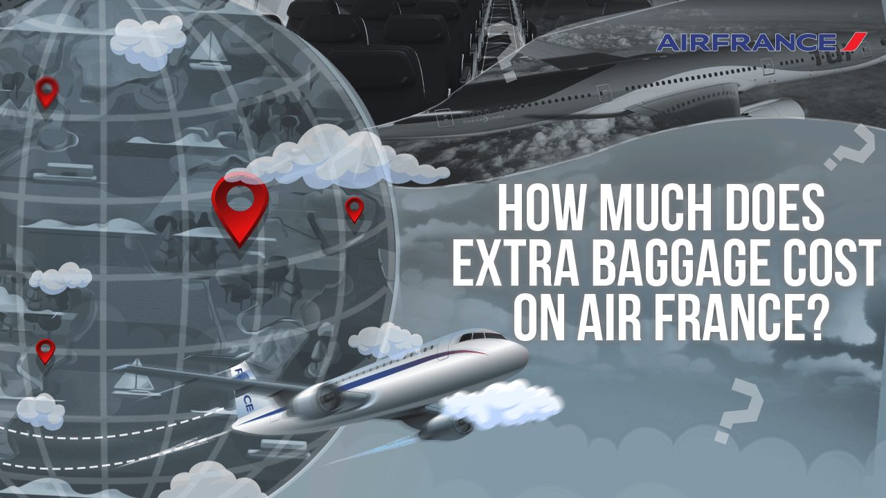 How Much Does Extra Baggage Cost On Air France