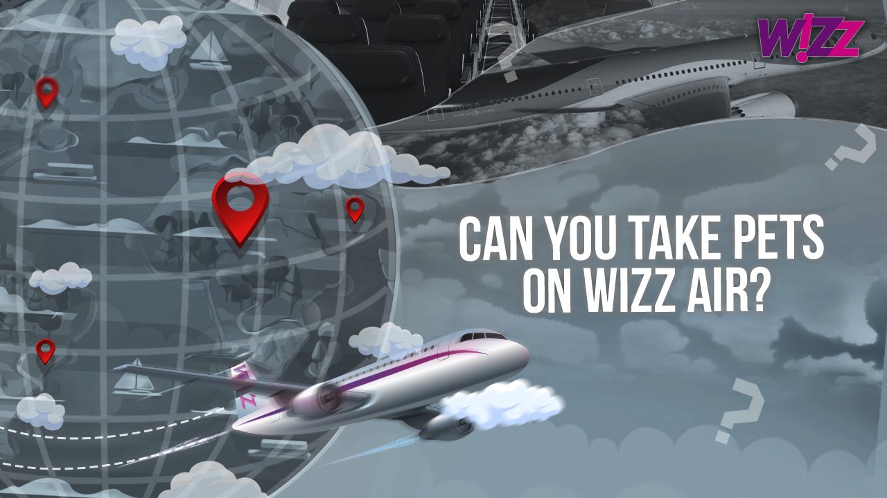 Can You Take Pets On Wizz Air