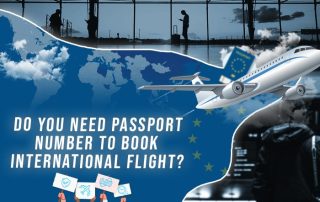 Do You Need Passport Number to Book International Flight