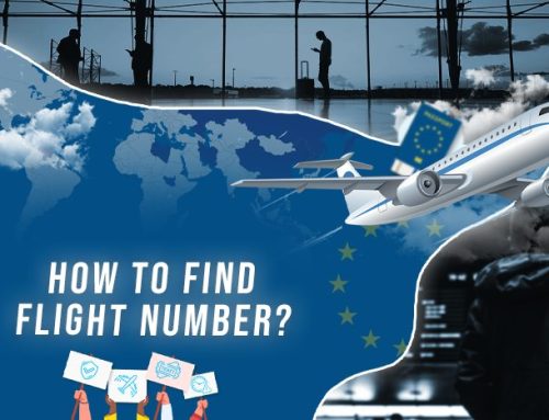 How to Find Flight Number?