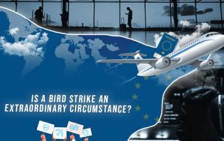 Is A Bird Strike An Extraordinary Circumstance