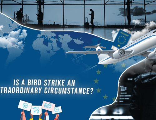 Is A Bird Strike An Extraordinary Circumstance?