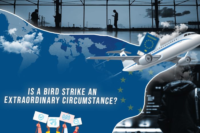Is A Bird Strike An Extraordinary Circumstance